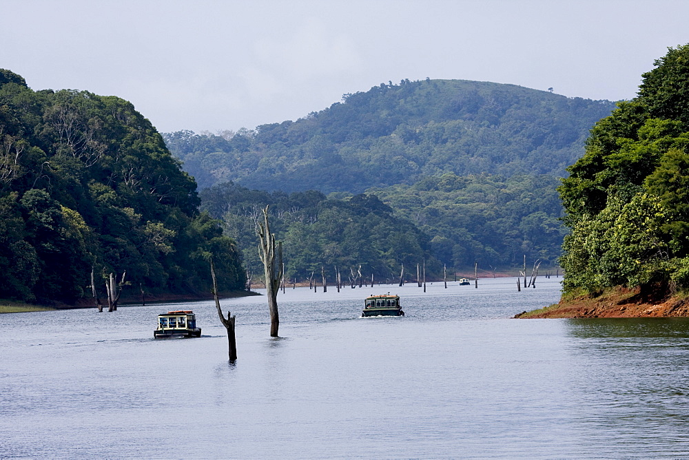 Boating, Periyar Tiger Reserve, Thekkady, Kerala, India, Asia