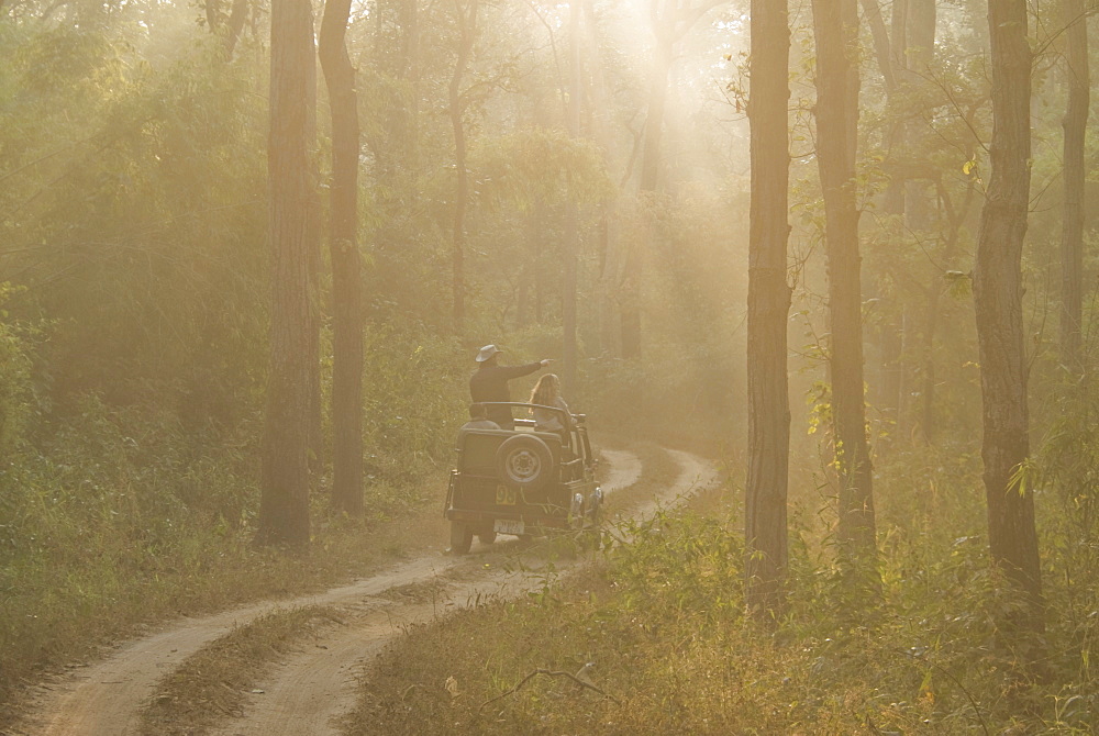 Tourists on morning safari, Kanha, Madhya Pradesh, India, Asia