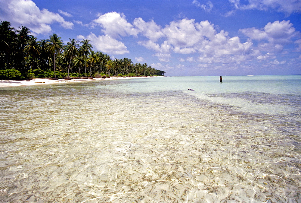 Clear water off Bangaram Island, Lakshadweep Islands, India, Indian Ocean, Asia