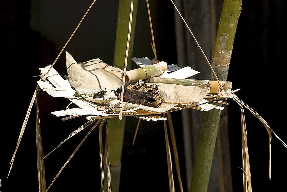 Typical offerings left at the entrance to longhouse to ward off evil spirits, Sarawak, Malaysian Borneo, Malaysia, Southeast Asia, Asia