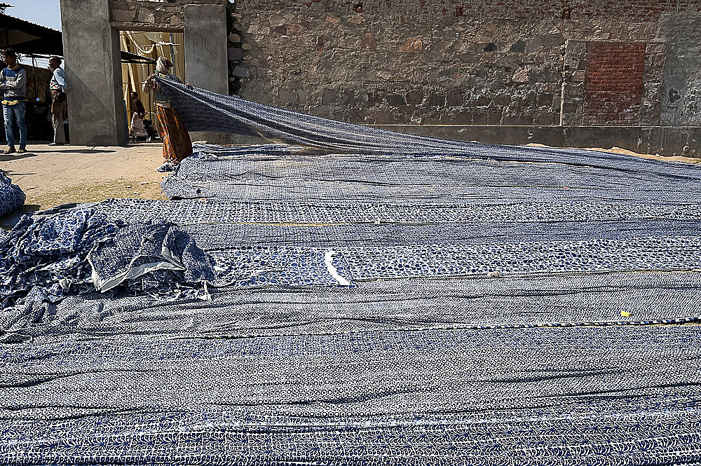 Bolts of cotton fabric, screen printed with indigo, drying in the desert sun, Bagru, Rajasthan, India, Asia