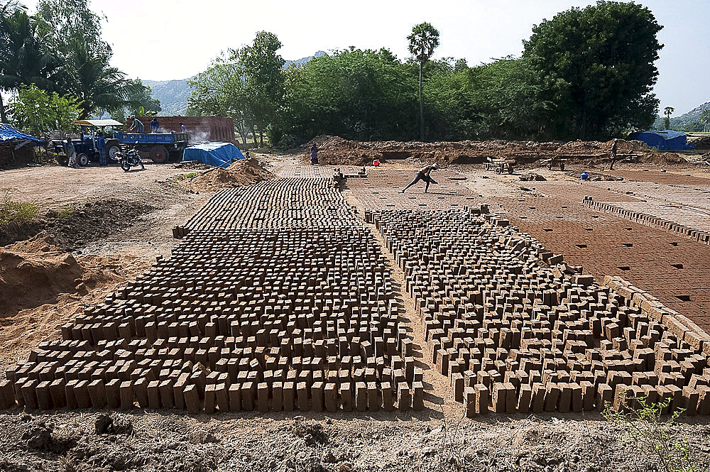 Handmade bricks made from roadside clay and left to dry in the sun before firing, Tamil Nadu, India, Asia