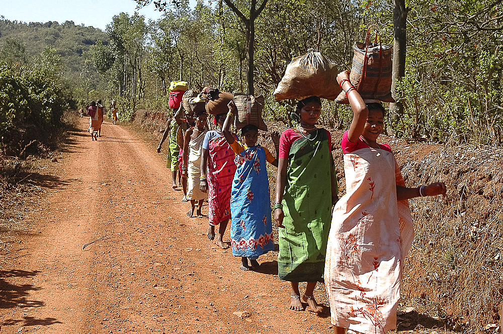 Didai tribeswomen carrying vegetables to sell at the local market, Onukudelli, Orissa, India, Asia