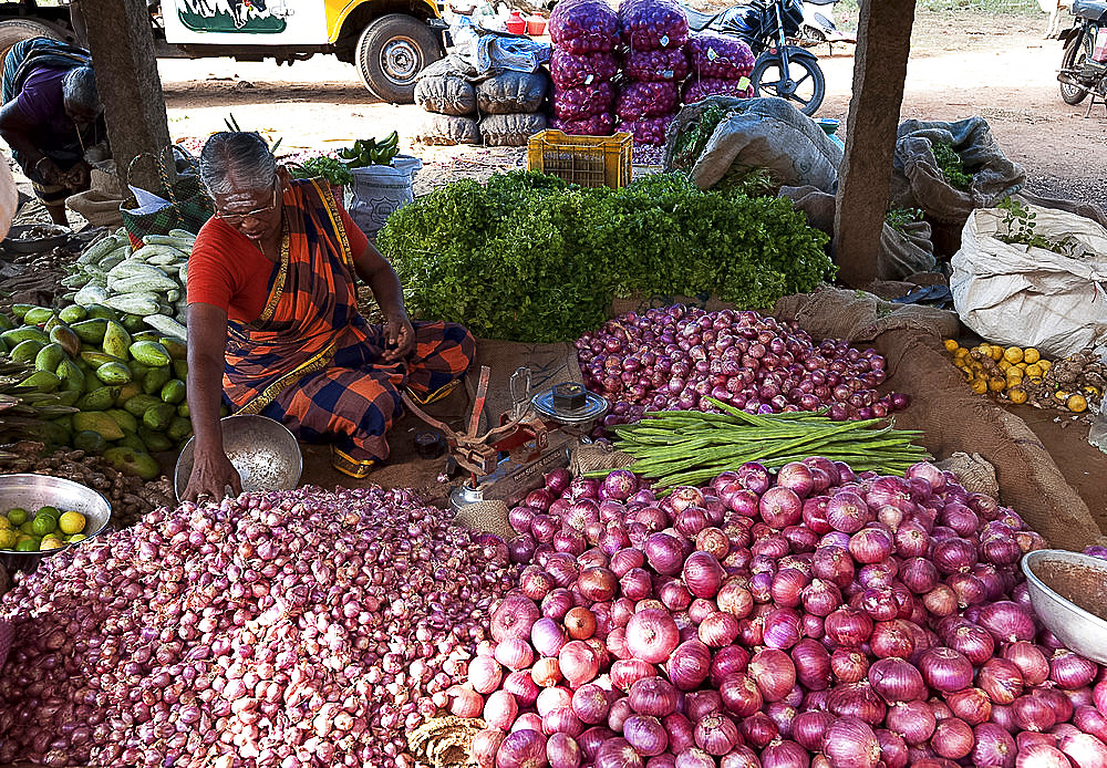 Woman in rural market selling pink onions and garlic, Chettinad, Tamil Nadu, India, Asia