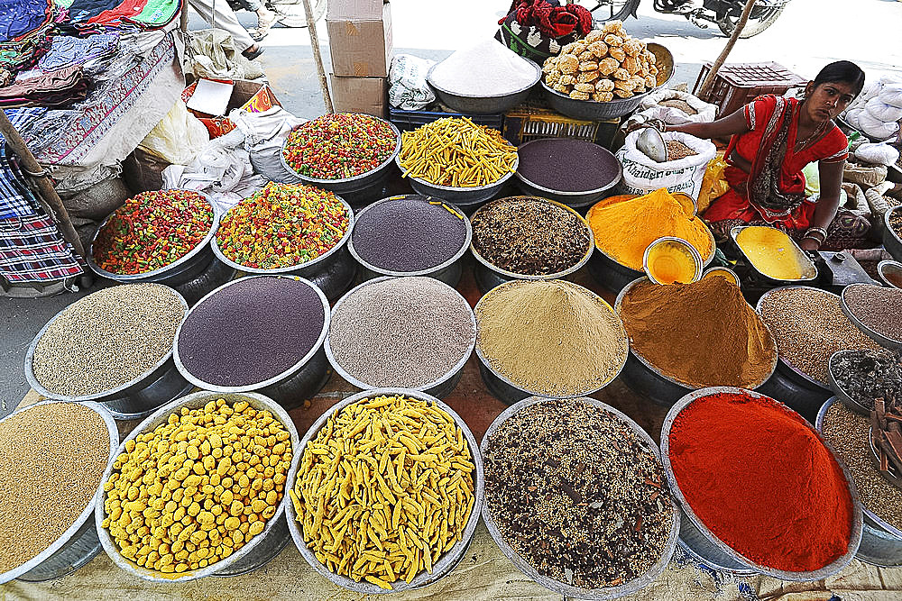 Woman in red sari at village street market stall selling spices, seeds and pasta, Chhota Udepur, Gujarat, India, Asia