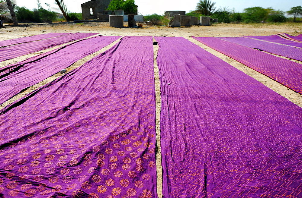 Bolts of brightly coloured dyed and block printed cotton laid out to dry in the sun, Gujarat, India, Asia