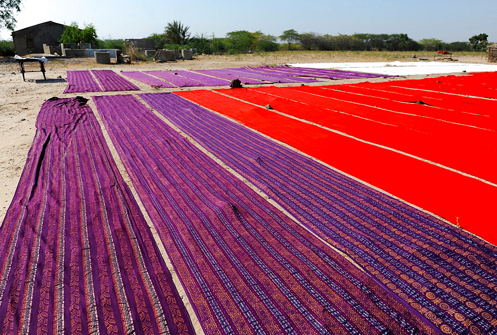 Bolts of brightly coloured dyed and block printed cotton laid out to dry in the sun, Gujarat, India, Asia