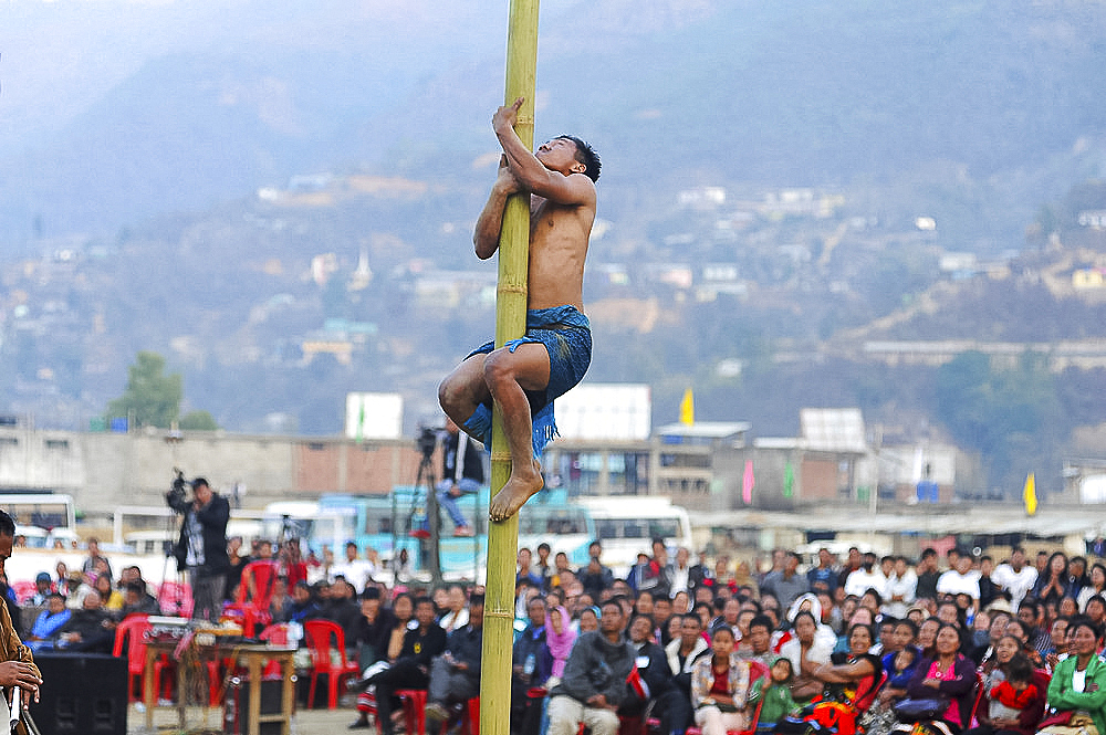 Naga man climbing bamboo pole in contest between tribes at Naga Festival, Senapati, Manipur, India, Asia