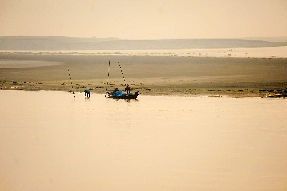 Men clearing the catch from their fishing nets at sunset in the fast flowing waters of the Brahmaputra River, Assam, India, Asia