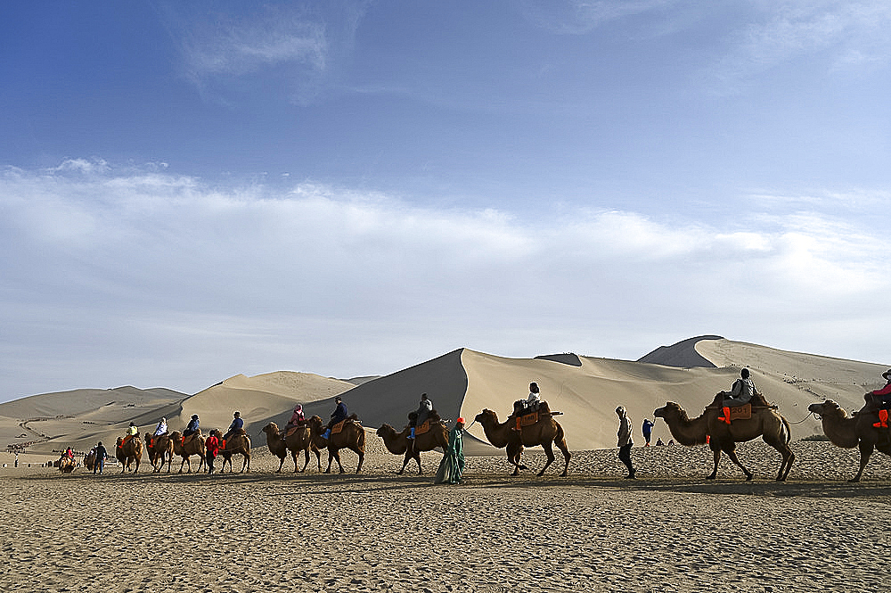 Tourists on camels being led through the Singing Sand Dunes in Dunhuang, Northwest Gansu province, China, Asia