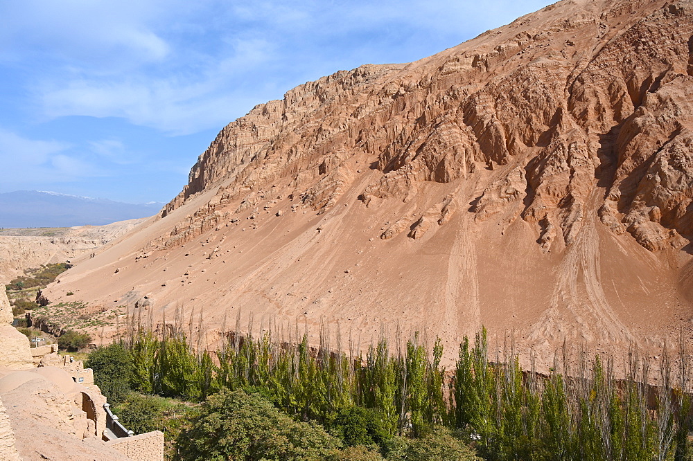 Poplar trees and vineyards growing where water passes through the Taklamakan desert, Xinjiang, China, Asia