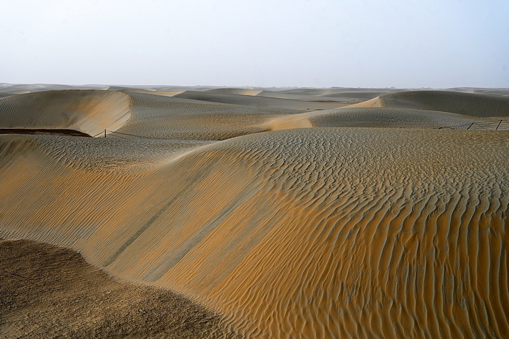 Undulating wind blown sands in the Taklamakan desert, Hotan, Xinjiang Uyghur region, China, Asia