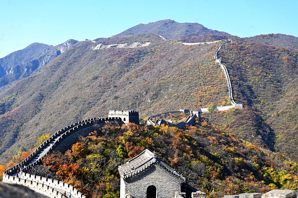 Great Wall of China, Mutianyu section, looking west towards Jiankou, UNESCO World Heritage Site, Beijing, China, Asia