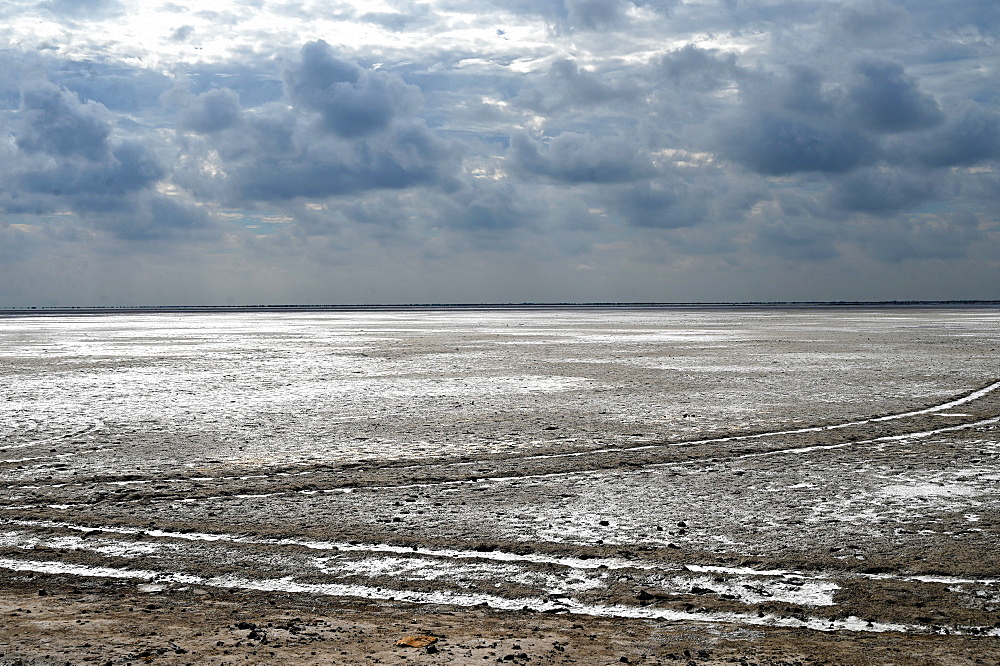 Abnormal seasonal weather in the white desert, preventing full cover of salt from accumulating, Rann of Kutch, Gujarat, India, Asia