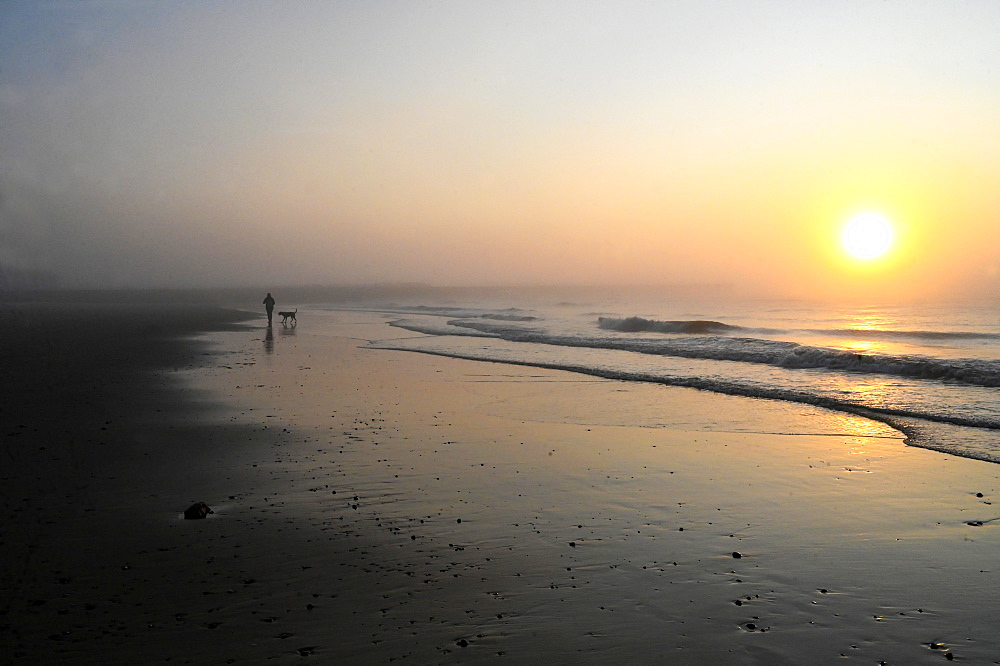 Solitary dog walker at sunrise on the beach at low tide in Walberswick on the east coast of England, Suffolk, England, United Kingdom, Europe