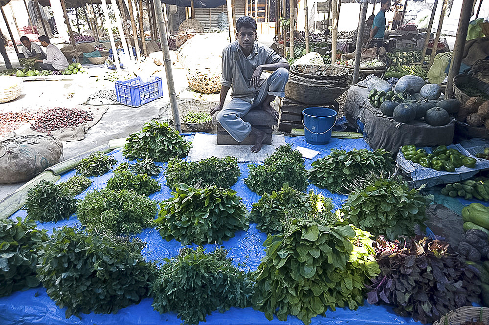 Green leaf vegetable and herb seller waiting for customers in early morning market on the banks of the Brahmaputra river, Guwahati, Assam, India, Asia