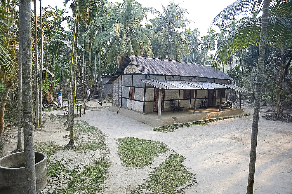 Woman grinding rice in the garden of typical Assamese house in the first light of day, Kurua village, Assam, India, Asia