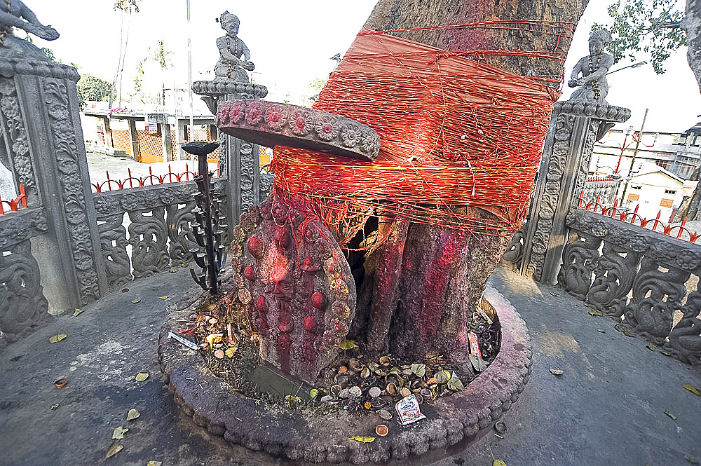 Temple shrine to Shakti, the sun god, daubed by pilgrims with red powder, tree tied with numerous holy Hindu strings, and offerings, Sri Mahabhairab Mandir, Tezpur, Assam, India, Asia