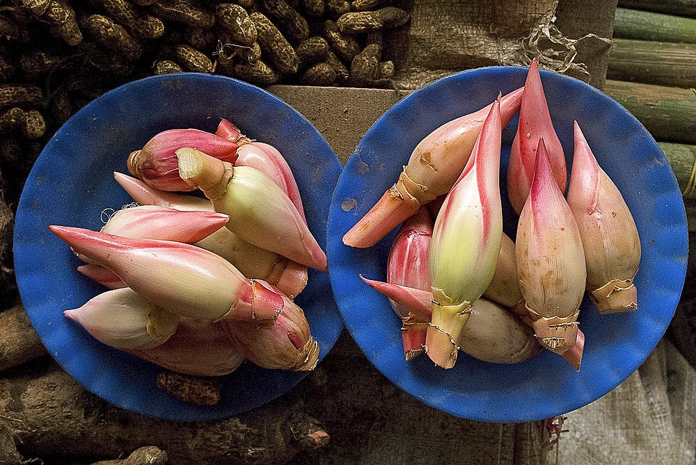 Lotus flower hearts in the vegetable market, Mulu, Sarawak, Malaysian Borneo, Malaysia, Southeast Asia, Asia