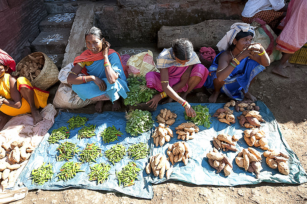 Mali tribeswomen selling chillies and sweet potatoes at weekly market, Rayagader, Orissa, India, Asia