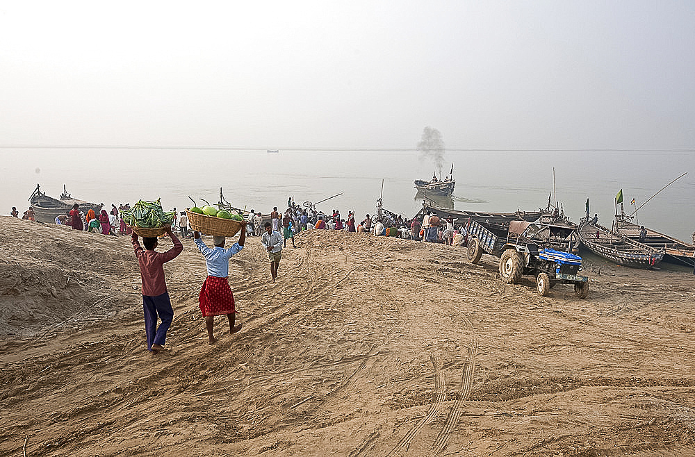 Two men carrying baskets of cauliflower and pumpkins on their heads, down to boats on the River Ganges, Sonepur, Bihar, India, Asia