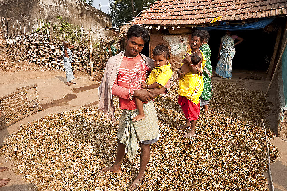 Young father of Desia Kondh tribe holding his son outside his house, standing on crop of drying millet, Bissam Cuttack, Orissa, India, Asia