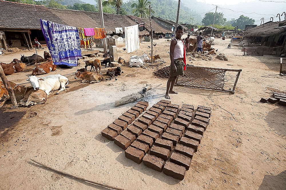 Young man standing in traditional Desia Kondh tribal village street, mud bricks drying in the sun, Bissam Cuttack, Orissa, India, Asia