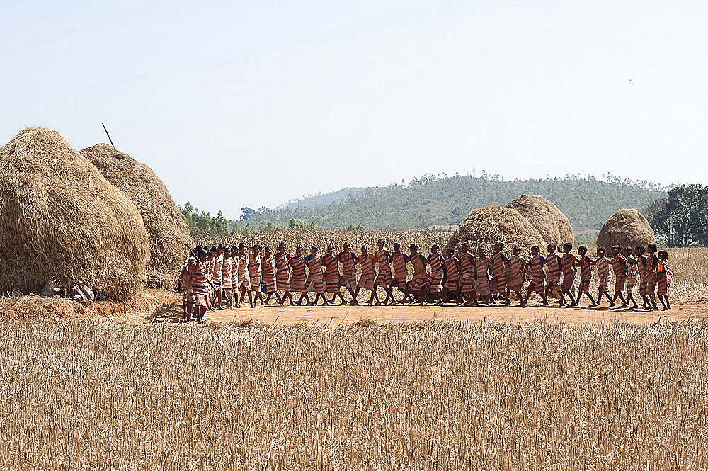 Tribal dancing by village women celebrating the rice harvest, rural Orissa, India, Asia