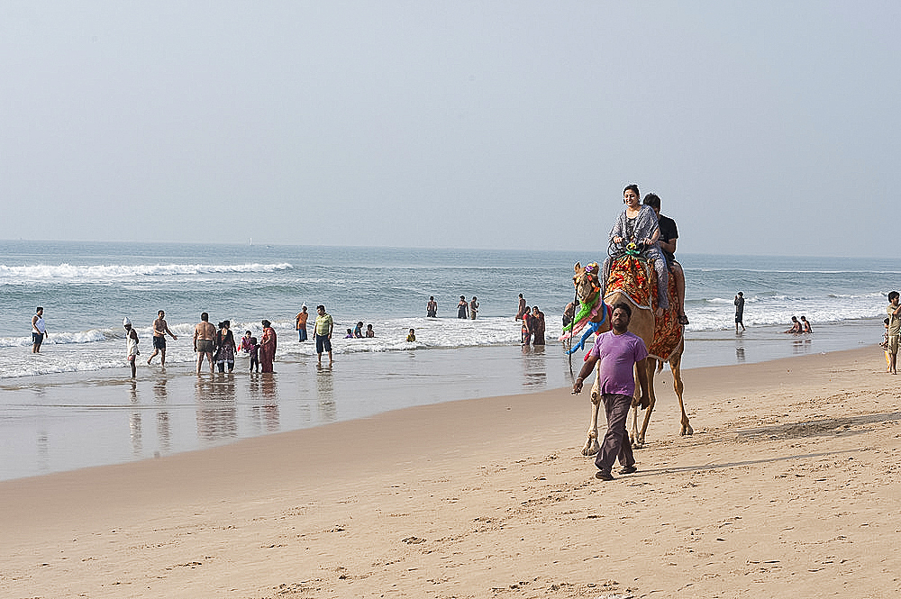 Indian holidaymakers on Puri beach, young family taking camel ride along the beach, Puri, Bay of Bengal, Orissa, India, Asia