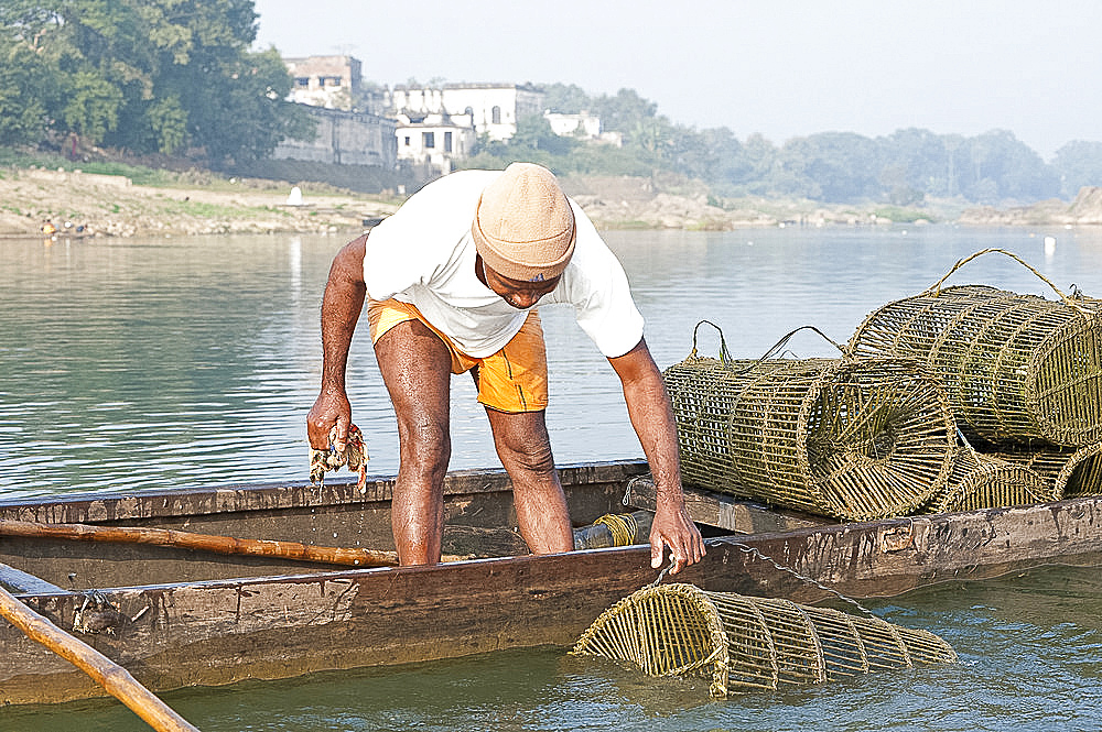 Fisherman in wooden boat, checking his fishing pots made from coir and bamboo, River Mahanadi, Orissa, India, Asia