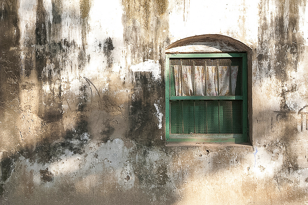 Dappled sunlight on college building wall and window, Serampore, West Bengal, India, Asia