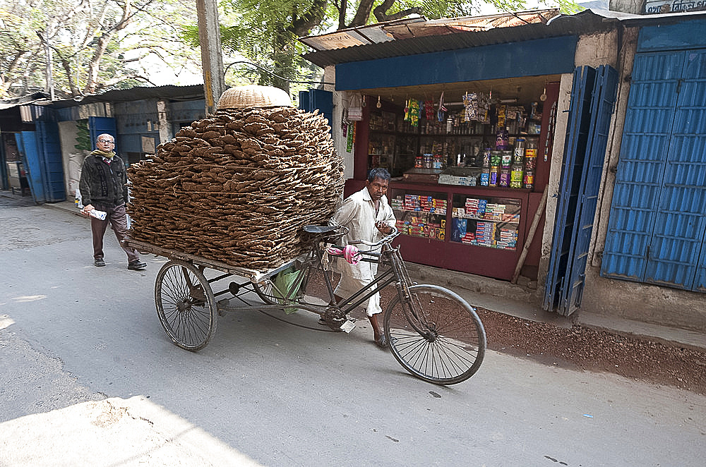 Man wheeling cycle rickshaw laden with dung pats for use as domestic fuel, Hugli village, West Bengal, India, Asia