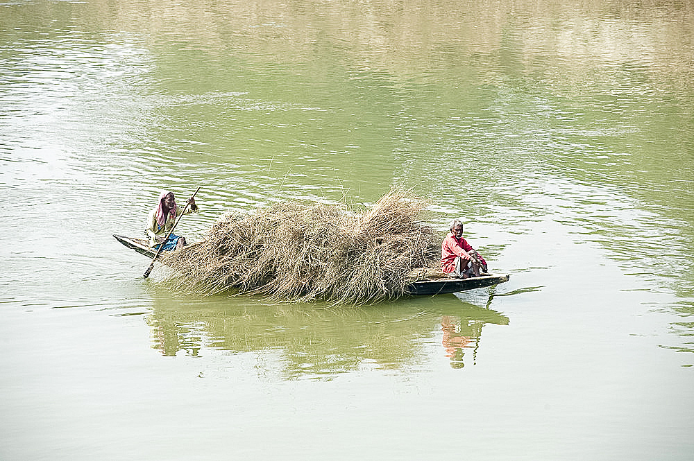 Boatmen paddling wooden boat laden with straw across the River Hugli (River Hooghly), rural West Bengal, India, Asia