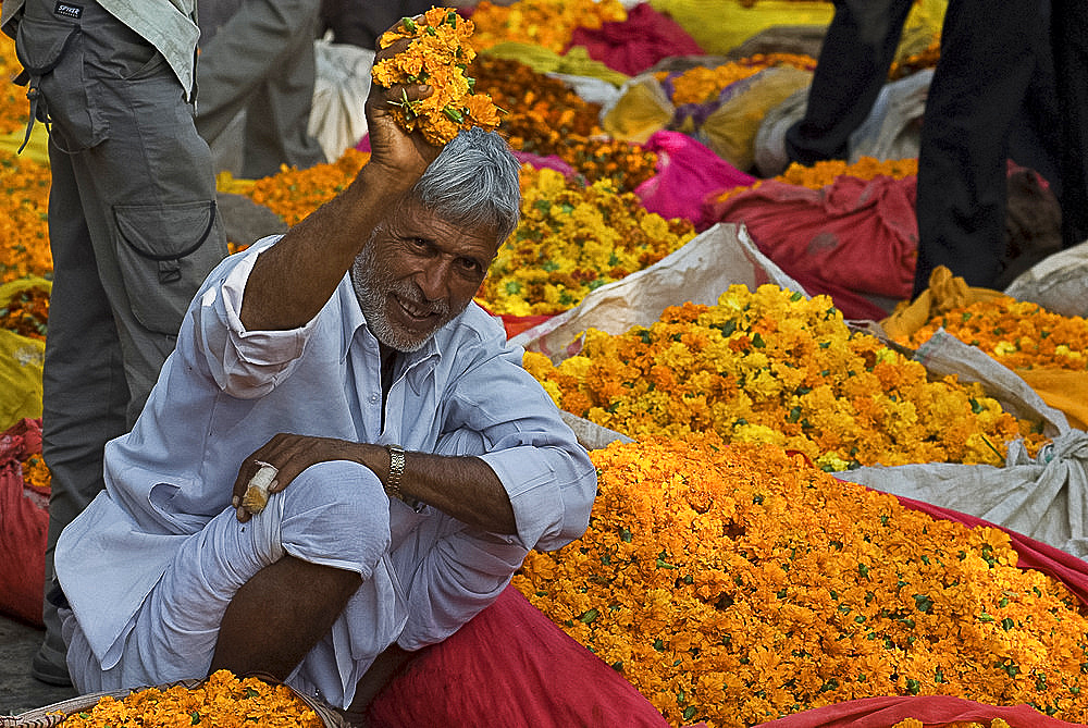 Man offering marigolds for sale, flower market, Bari Chaupar, Jaipur, Rajasthan, India, Asia