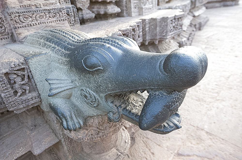 Crocodile holding fish, carved out of green stone, Konarak Sun temple detail, UNESCO World Heritage Site, Konarak, Orissa, India, Asia