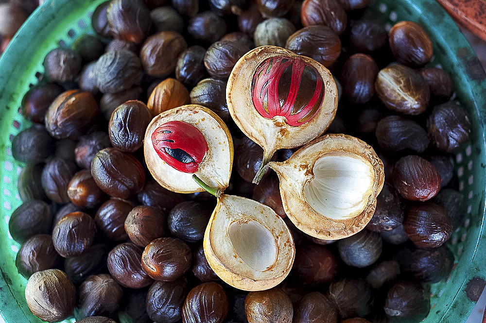 Male and female nutmegs, rind split open to reveal mace wrapped round nutmegs inside, Penang, Malaysia, Southeast Asia, Asia