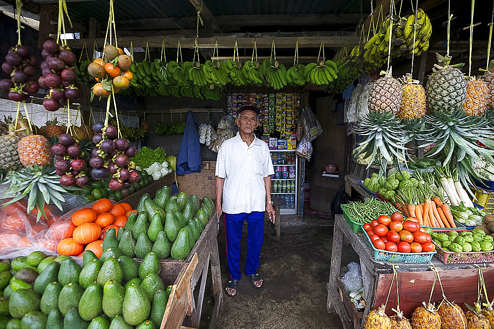 Stall holder in roadside fruit and vegetable stall, Lembang, Bandung district, Java, Indonesia, Southeast Asia, Asia