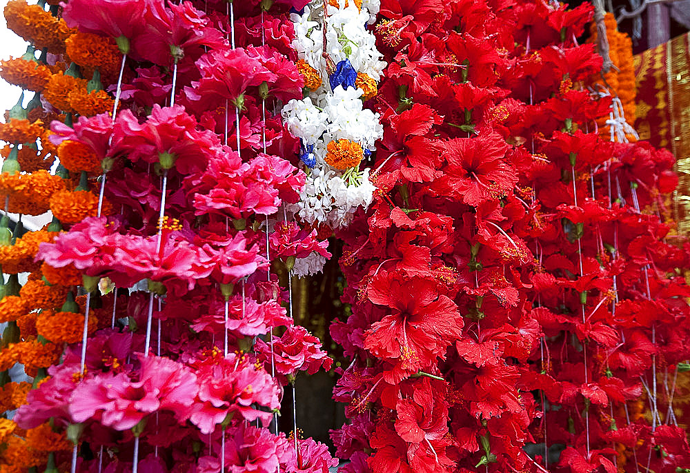 Hibiscus garlands (mala) hanging outside Kamakhya Hindu temple in Guwahati, Assam, India, Asia