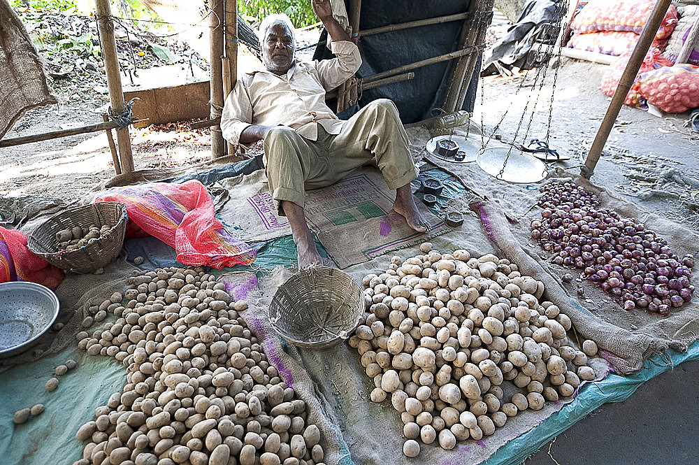 Aloo wallah (potato seller) relaxing with his locally grown potatoes at his market stall, Guwahati, Assam, India, Asia