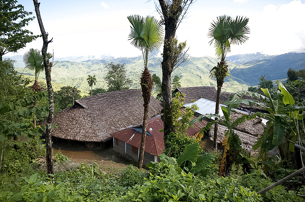 Longwha village houses with both tin and palm thatched roofs, rural Nagaland, India, Asia