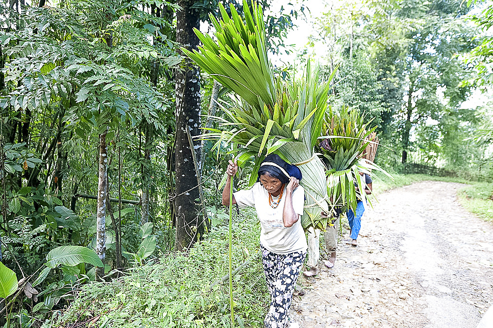 Naga tribeswomen carrying loads of fan palm leaves for domestic thatch, on traditional headbands, rural Nagaland, India, Asia