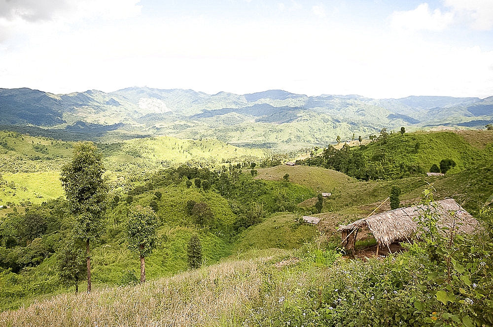 Naga hills, dotted by thatched bamboo huts for workers shelter in the fields, rural Nagaland, India, Asia