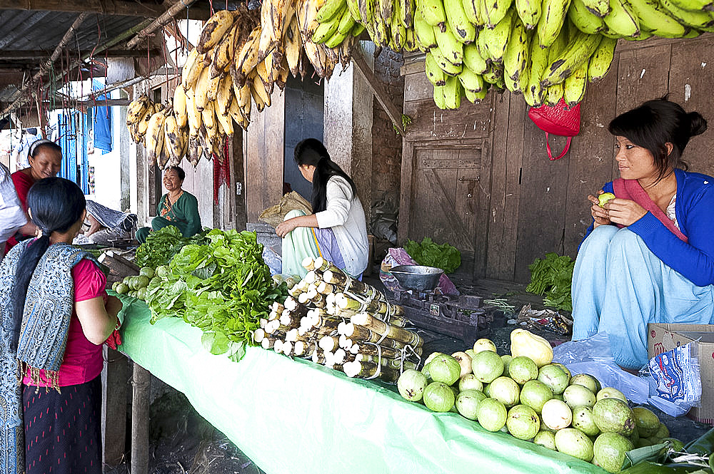 Women selling locally grown produce in remote rural market on a hillside in Arunachal Pradesh, India, Asia