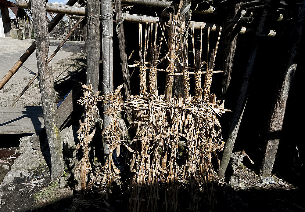 Animist Donyi Polo shrine to the gods, made from bamboo and maize leaves, in Apatani village, Ziro, Arunachal Pradesh, India, Asia