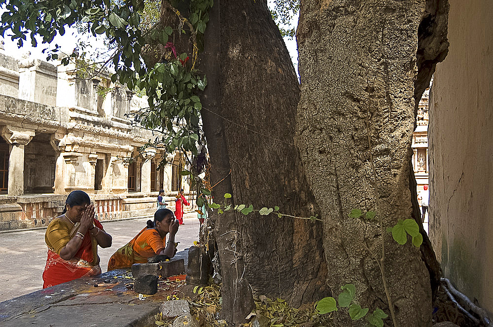 Hindu shrine in grounds of temple, for women who want to have a child, Thanjavur, Tamil Nadu, India, Asia