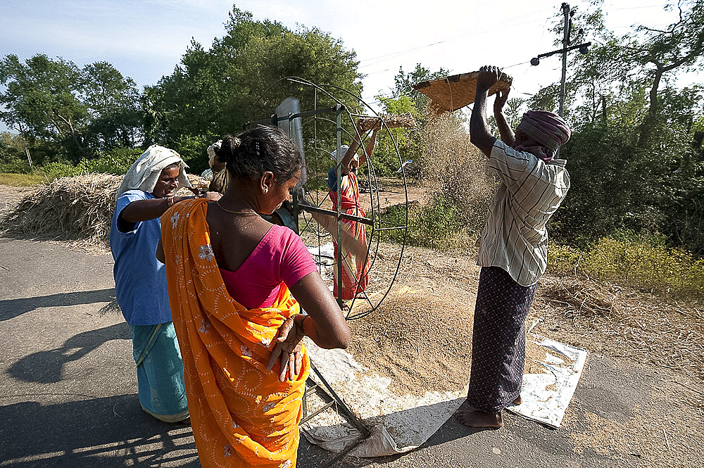 Women turning portable fan to assist man husking recently harvested rice on the roadside, Koraput district, Orissa (Odisha), India, Asia