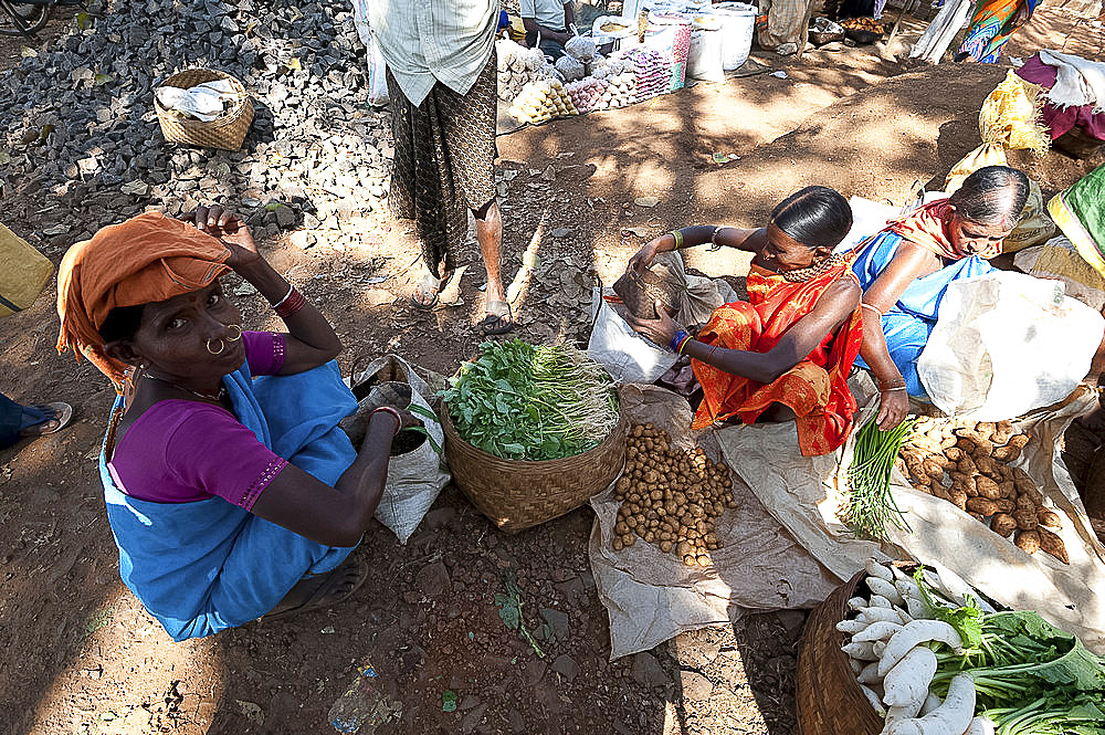 Mali tribal woman with gold nose rings shopping by bartering system in Mali weekly tribal market, Guneipada, Orissa (Odisha), India, Asia