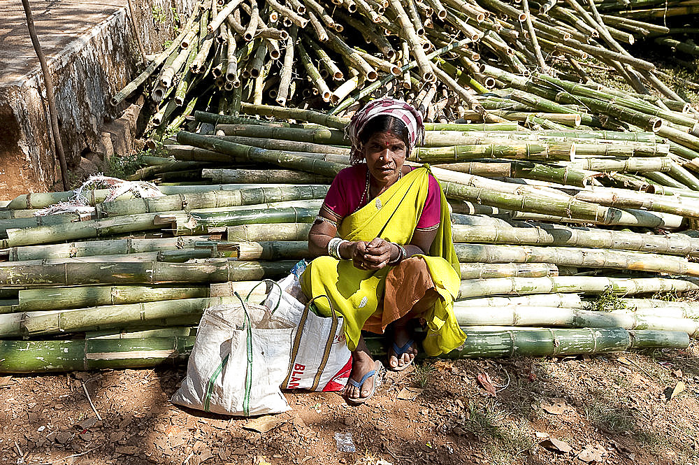 Mali tribeswoman sitting on piles of sugar cane in Mali weekly tribal market, Guneipada, Koraput district, Orissa (Odisha), India, Asia