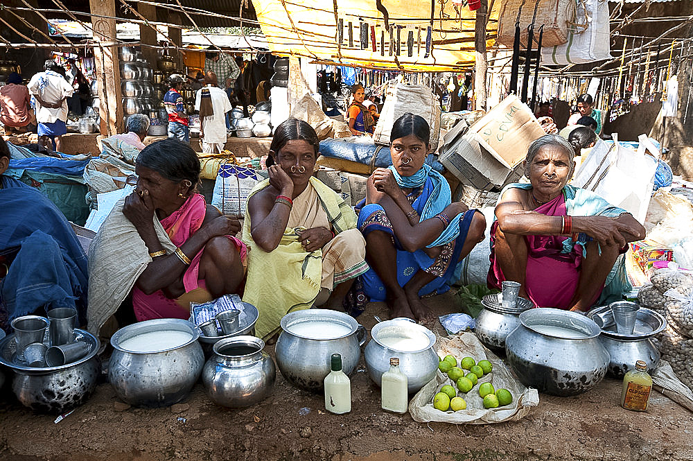 Mali tribeswomen with gold noserings selling yoghourt from metal pots in Mali weekly tribal market, Guneipada, Orissa (Odisha), India, Asia