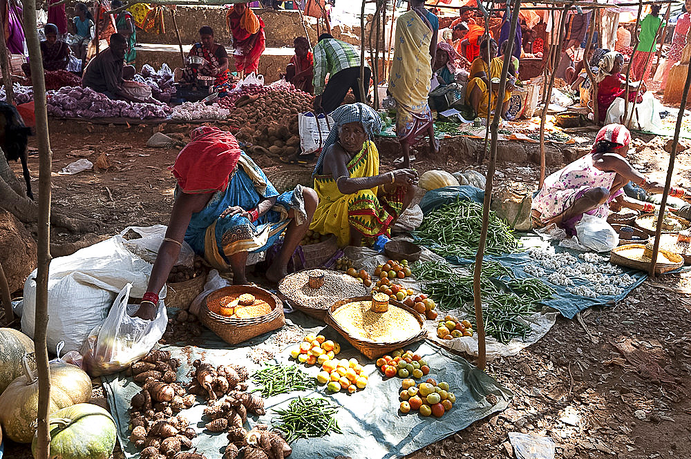 Vegetable stalls in Mali weekly tribal market, Guneipada, Koraput district, Orissa (Odisha), India, Asia